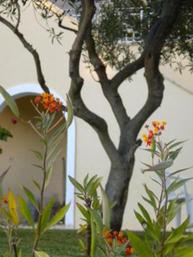 Natalia Apartment B With Panoramic Sea Views Of Agios Gordios Bay מראה חיצוני תמונה